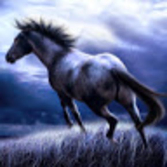 Meet your Posher, Emma - Picture 1 of 1